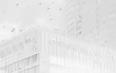 birds flying over white buildings