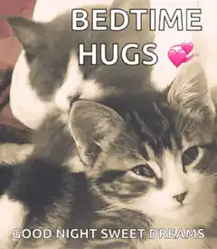 Bedtime Hugs Good Night Sweet Dreams
