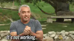 It's not working... Cesar Millan