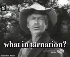what in tarnation?
