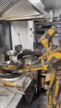 Robot chef cooking in a wok