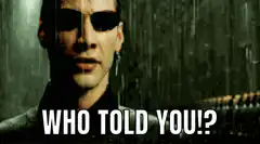 Matrix Neo Who Told You