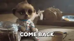 Baby meerkat reaching out with text 'COME BACK'