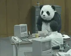 Panda in office dancing