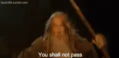 Gandalf You Shall Not Pass