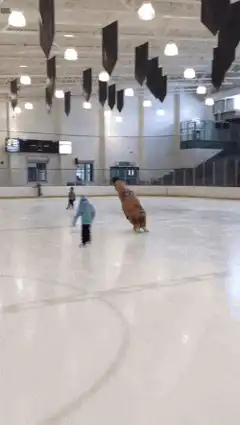 T-Rex ice skating