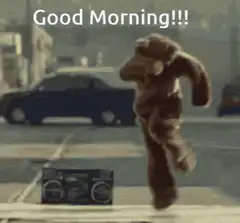 Good Morning dancing bear