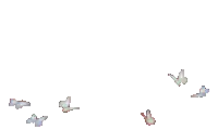 pixel art butterflies flying