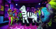 people dancing with inflatable zebra