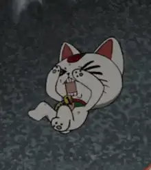 Maneki Neko cat screaming and hiding