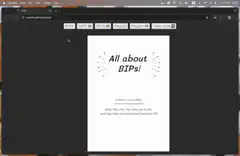 All about BIPs document