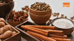Eastern Meat Masala spice ingredients