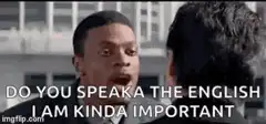 Do you speaka the English I am kinda important
