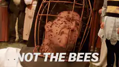 Not the bees