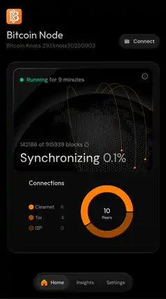 Bitcoin Node Synchronizing Interface