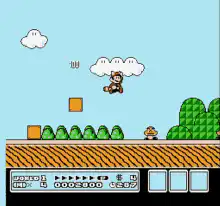 Raccoon Mario gameplay