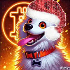 Dog in Santa Hat with Bitcoin