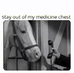 horse on the phone stay out of my medicine chest