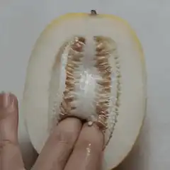Hand squeezing melon seeds