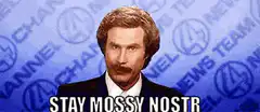 Ron Burgundy Stay Mossy Nostr