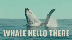Whale Hello There
