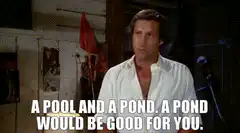 A pool and a pond. A pond would be good for you.