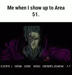 Me when I show up to Area 51