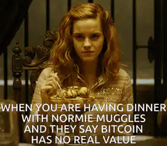 Hermione Granger Bitcoin Dinner Meme