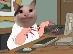 Cat typing on keyboard