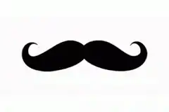 black mustache icon
