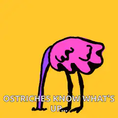 Ostriches Know What's Up
