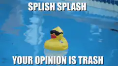 Splish Splash Your Opinion Is Trash Rubber Duck
