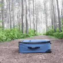 dog jumps into suitcase in forest