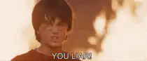 Harry Potter You Liar