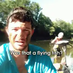 Man gets hit by flying fish