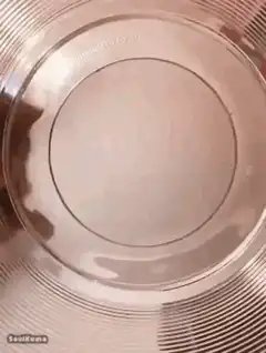 Cat looking through glass bowl