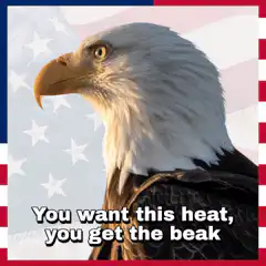 Bald Eagle You Want This Heat You Get The Beak