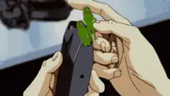 Two frogs on a gun