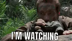 Arnold Schwarzenegger I'm Watching