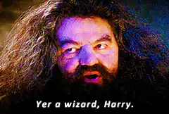 Hagrid Yer a Wizard Harry