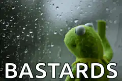 Kermit the Frog looking sad behind rain