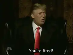 Donald Trump You're Fired
