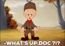 Elmer Fudd and Bugs Bunny What's Up Doc