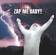 Cat raising paws to lightning
