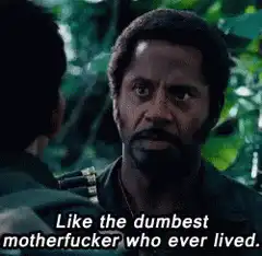 Like the dumbest motherfucker who ever lived