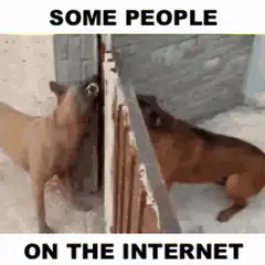 Two dogs barking at each other through a fence