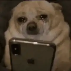 Crying dog looking at phone