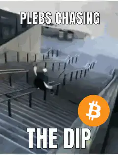 Plebs Chasing The Dip Bitcoin