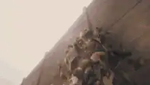 Helicopter crash and Brad Pitt reaction