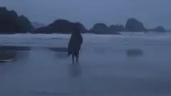 silhouette of person on beach